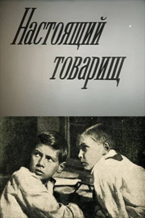 Poster for A True Comrade