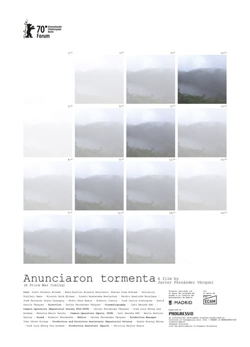 Poster for A Storm Was Coming
