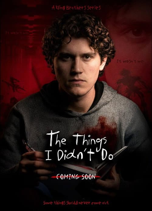 Poster for The Things I Didn't Do
