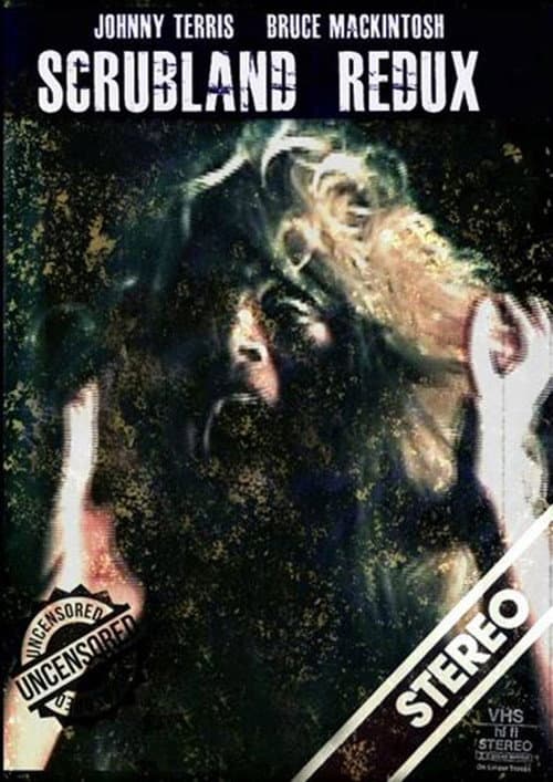 Poster for Stardust Redux