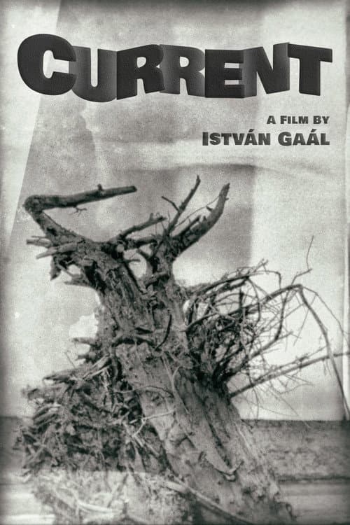 Poster for Current