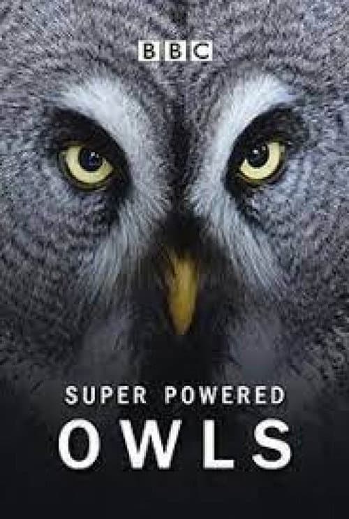 Poster for Super Powered Owls