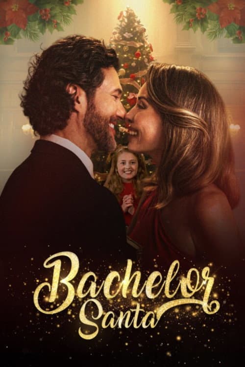 Poster for Bachelor Santa