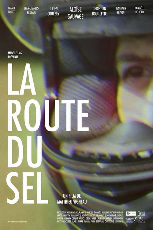 Poster for The Salt Way
