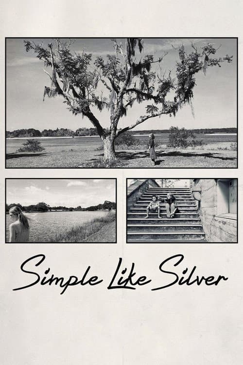 Poster for Simple Like Silver