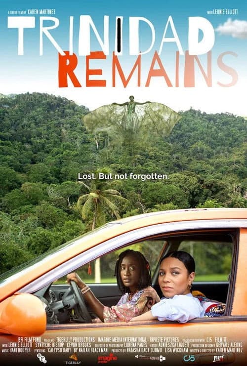 Poster for Trinidad Remains