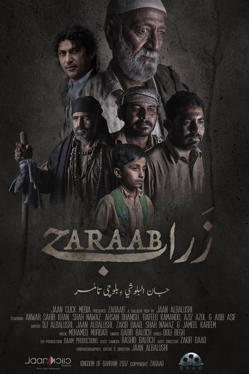 Poster for Zaraab