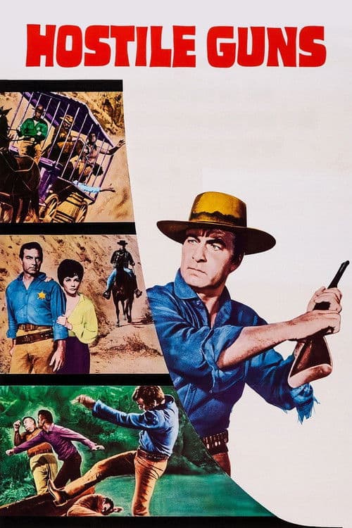 Poster for Hostile Guns