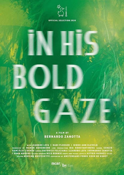 Poster for In His Bold Gaze