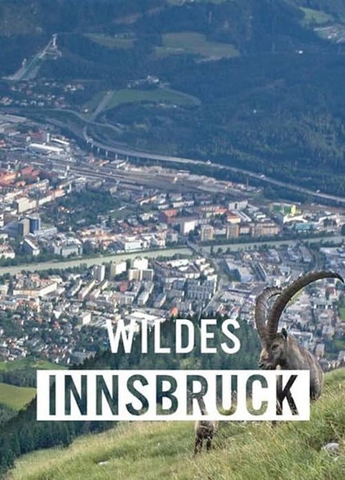 Poster for Wildes Innsbruck: Zwischen Moderne und alpiner Wildnis