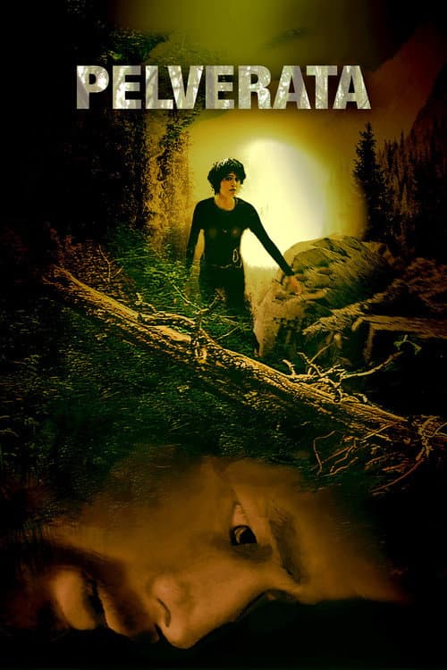 Poster for Pelverata