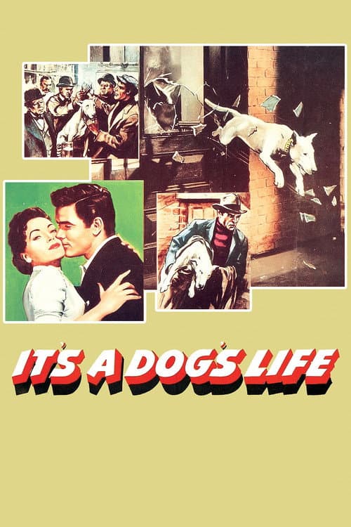 Poster for It's a Dog's Life