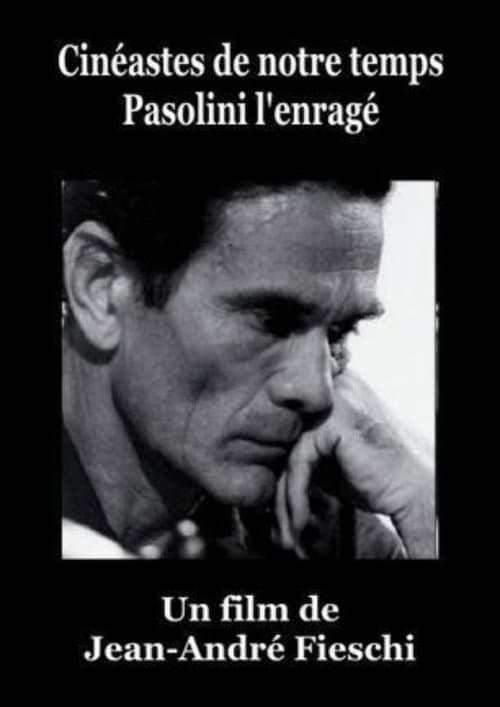 Poster for Pasolini l'Enragé