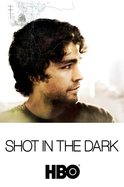 Poster for Shot In The Dark