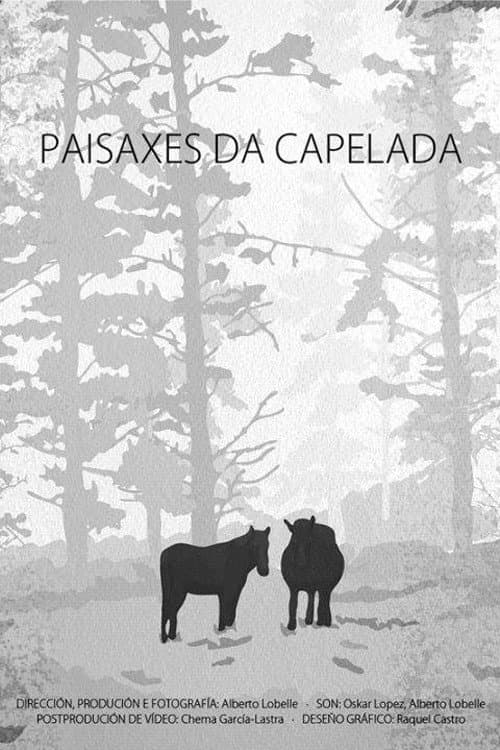 Poster for Landscapes of A Capelada