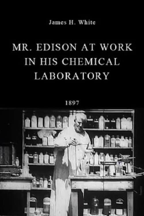 Poster for Mr. Edison at Work in His Chemical Laboratory
