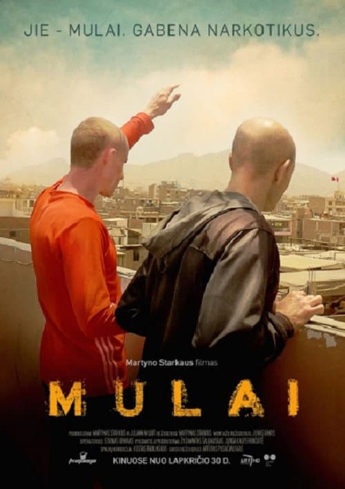 Poster for The Mules