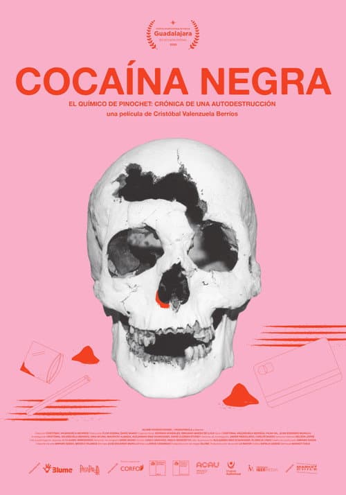 Poster for Black Cocaine