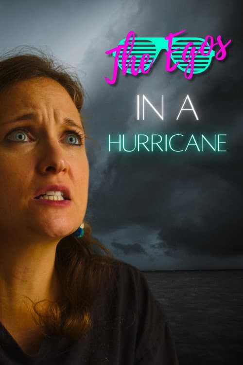 Poster for The Egos in a Hurricane