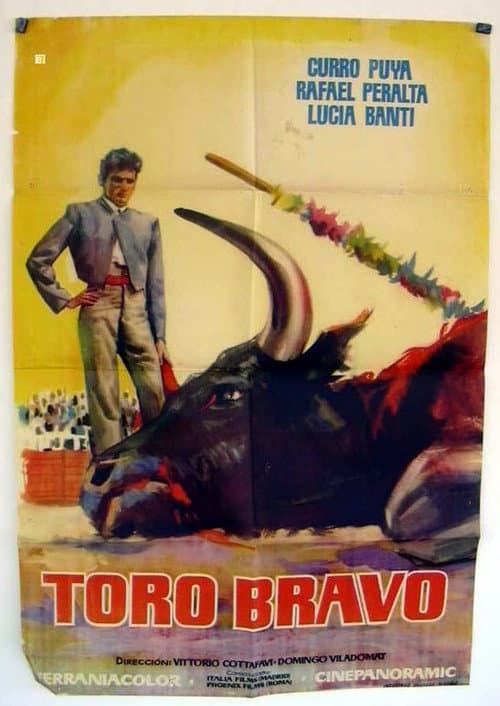 Poster for Toro bravo