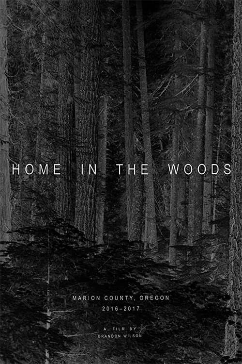 Poster for Home in the Woods