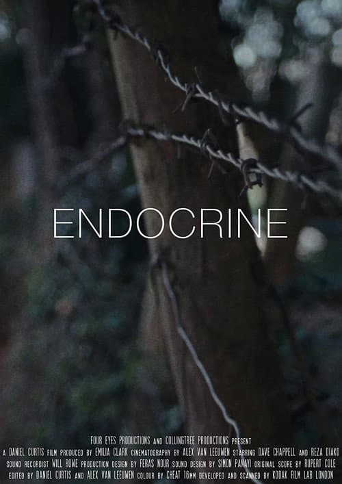 Poster for Endocrine