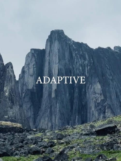 Poster for Adaptive