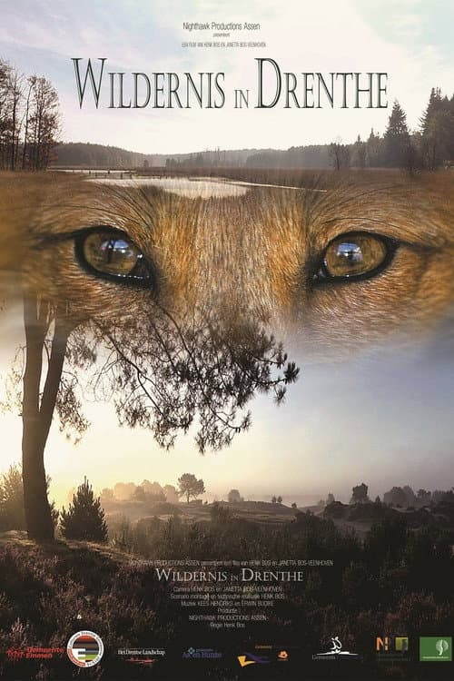 Poster for Wildernis in Drenthe