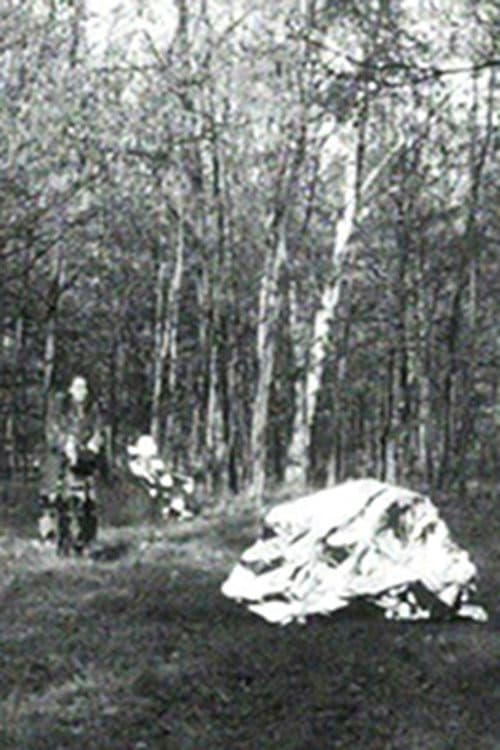 Poster for The Protection Foil