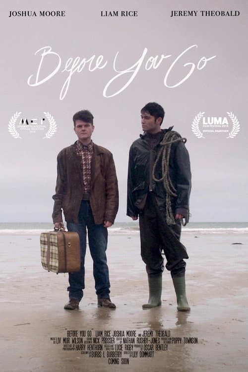 Poster for Before You Go