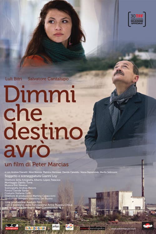 Poster for Dimmi che destino avrò