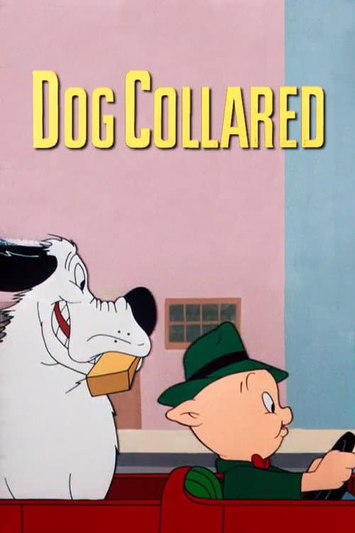 Poster for Dog Collared