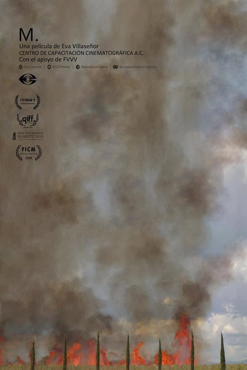 Poster for M.