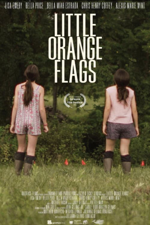 Poster for Little Orange Flags