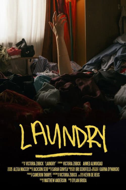 Poster for Laundry