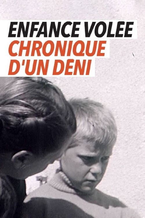 Poster for Enfance volée - chronique d'un déni