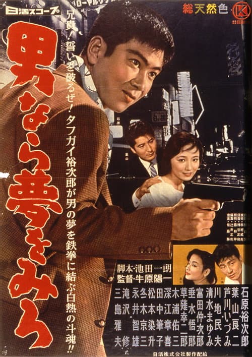 Poster for Dream Young Man's Dream