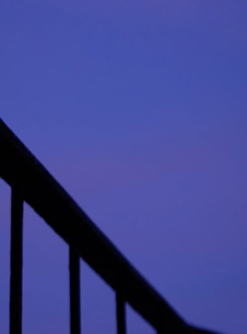 Poster for Twilight Triptych