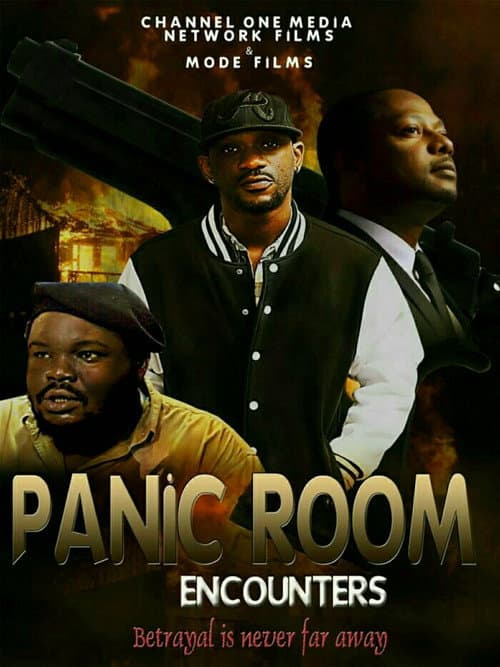 Poster for The Panic Room Encounters