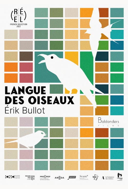 Poster for Language of Birds
