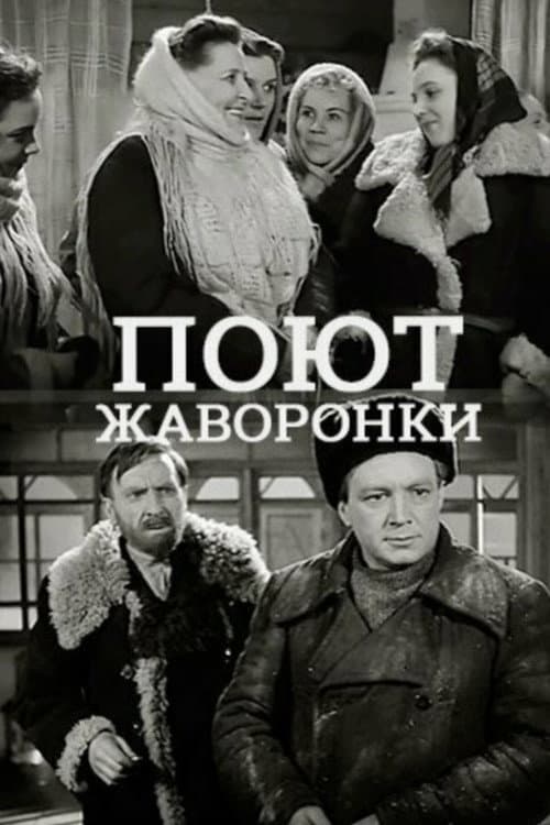 Poster for Поют жаворонки