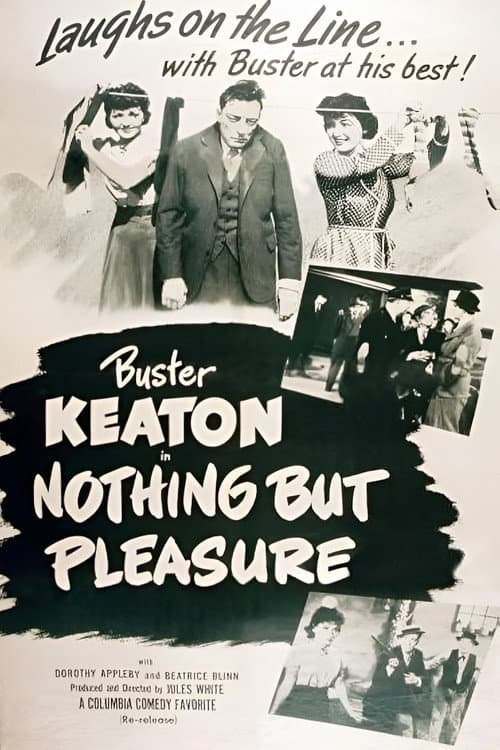 Poster for Nothing But Pleasure