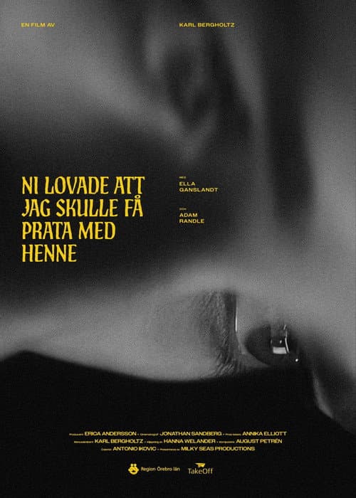 Poster for I just want to hear her voice