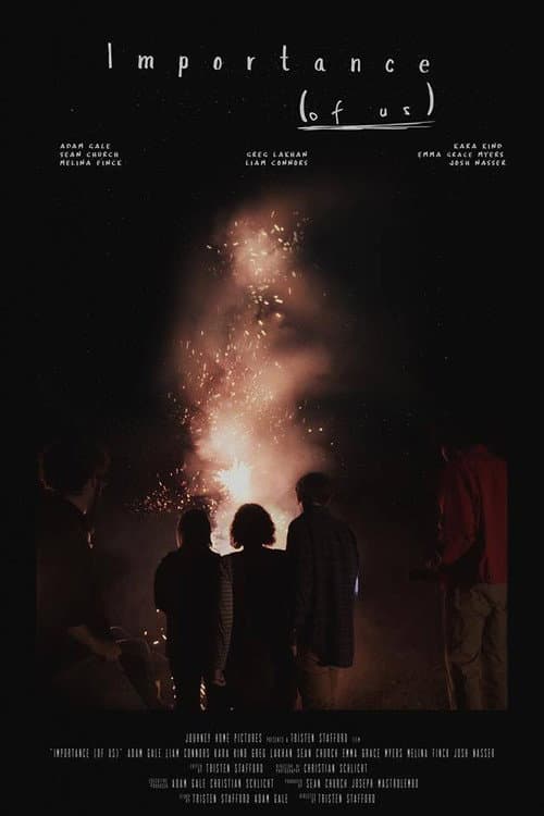 Poster for Importance (of Us)
