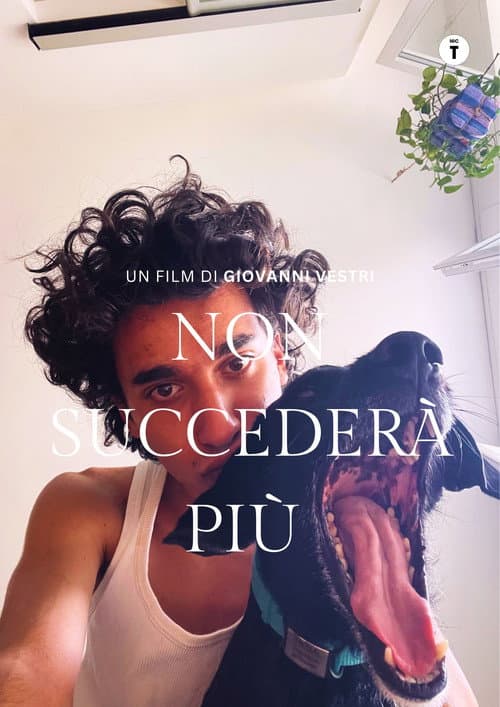 Poster for Non succederà più