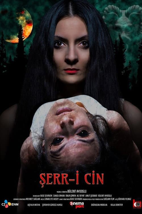 Poster for Şerr-i Cin