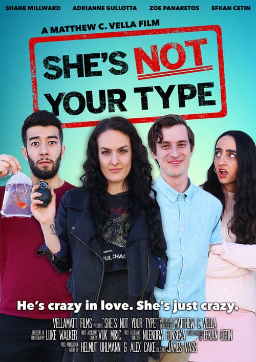 Poster for She's Not Your Type