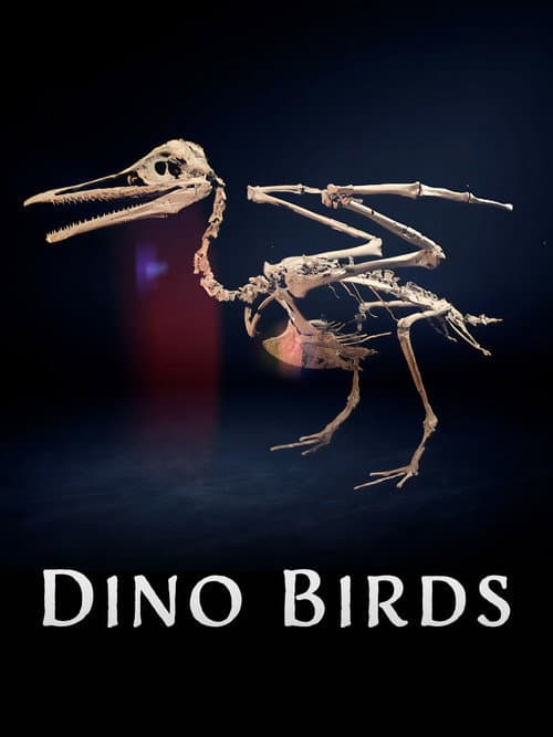Постер до фільму «Dino Birds»