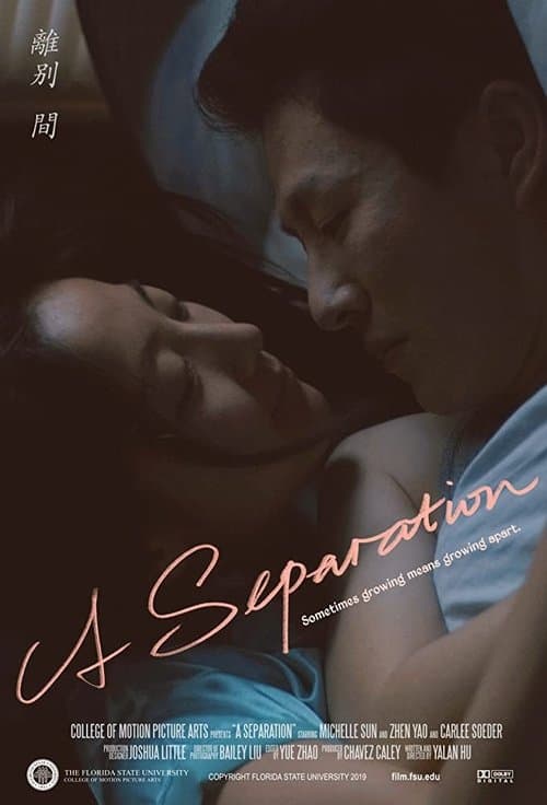 Poster for A Separation