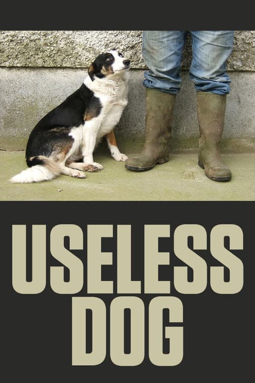 Poster for Useless Dog